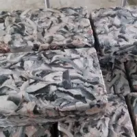 Frozen Fish Skin