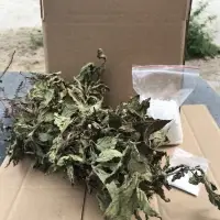 Dried Grass Jelly Leaves