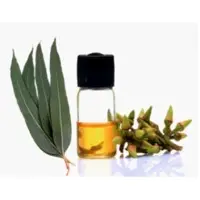 Eucalyptus Oil