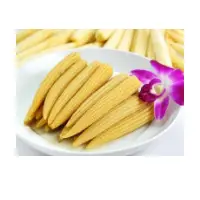 Canned Baby Corn