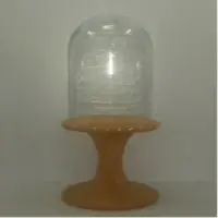 Display Stand With Cloche
