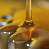 Medium Oil Alkyds