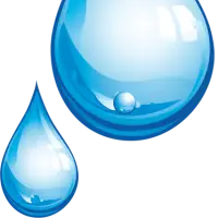 Hydrocarbons Solvents Xylene