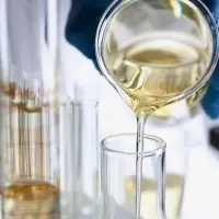 Plasticizers Dibutyl Pthalate