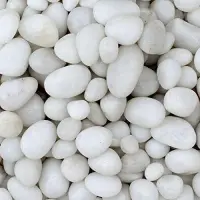 Pure White Pebbles