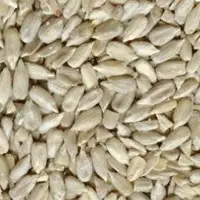 Hulled Sunflower Seeds