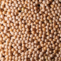 Yellow Peas