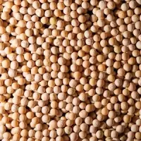 Yellow Peas