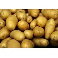 No Mud Fresh Russet Potatoes