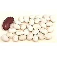 Organic White Kidney Bean