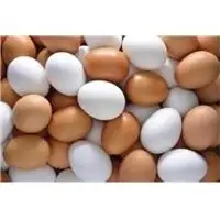Fresh White And Brown Chicken Eggs