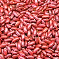 Red Kidney Bean