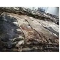 Wet And Dry Salted Donkey Hides