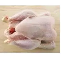 Frozen Chicken