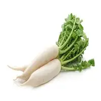 Radish