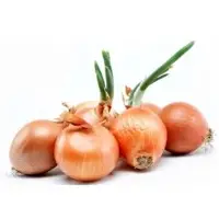 Onion