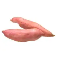 Sweet Potato