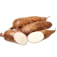 Tapioca
