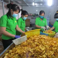 Jack Fruit From Viet Nam