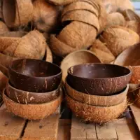 Coconut Shell Bowl From Vietnam