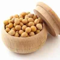 Soybean