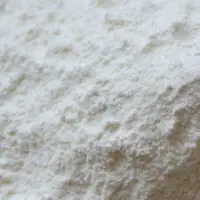 Milk Powder