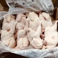 Frozen Chicken