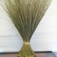 Broom