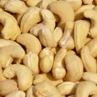 Cashew Nut