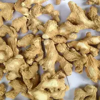 Dried Ginger