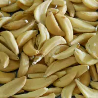 Garlic Flakes