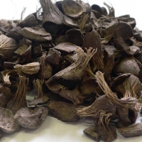 Palm Kernel Shell