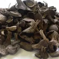 Palm Kernel Shell