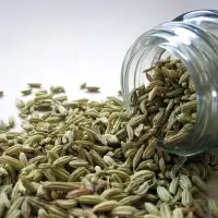 Fennel Seeds
