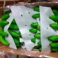 Banana of Ecuador