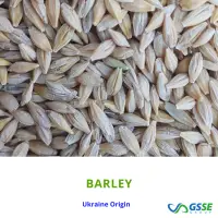 Barley