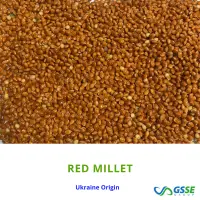 Red Millet
