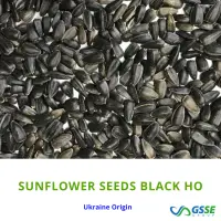 Sunflower Seeds Black High Oleic