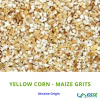 Yellow Corn