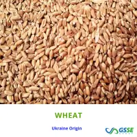 Milling Wheat