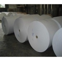 Kraft Paper & Corrugated Paper Roll