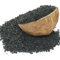 Activated Carbon