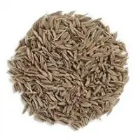 Cumin Seeds
