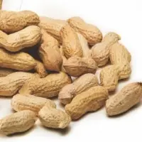 Peanuts