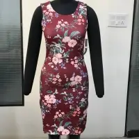 Ladies Dress