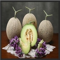 Melon
