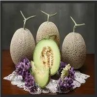 Melon