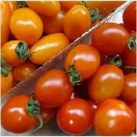 Jujube Tomato