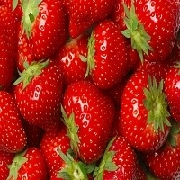 High Quality Strawberries