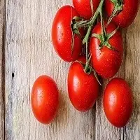 High Quality Tomatoes